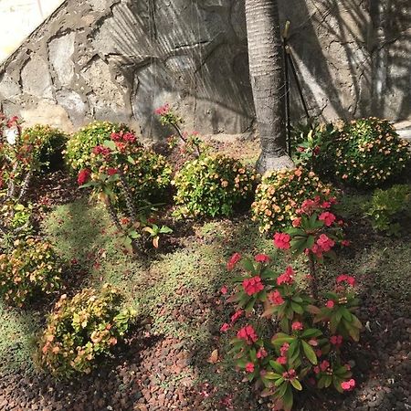 Bungalow Isla Margarita 푸에르토리코 외부 사진